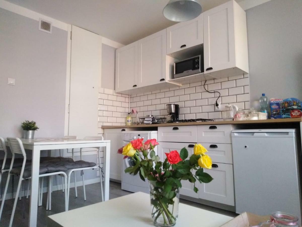 Apartment Oswiecim Klimatyzowany Exteriér fotografie